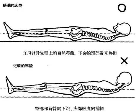 枕头4.jpg